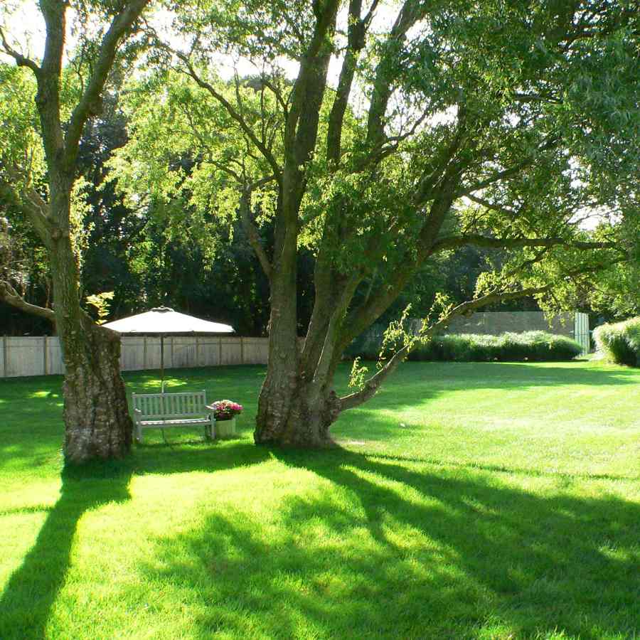Beautifully Manicured Grounds